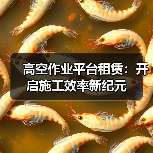 高空作业平台租赁：开启施工效率新纪元（图4）