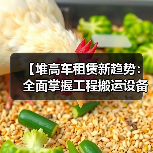 【堆高车租赁新趋势:全面掌握工程搬运设备租赁的升降差异化】(图2) 【堆高车租赁新趋势:全面掌握工程搬运设备租赁的升降差异化】(图2)