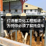 打造差异化工程搬运：为何你必须了解托盘车租赁的秘密（图4）