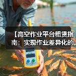【高空作业平台租赁指南：实现作业差异化的最佳选择】