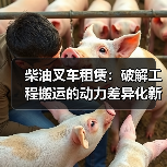 柴油叉车租赁：破解工程搬运的动力差异化新谜题（图4）