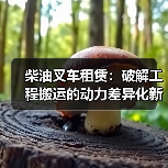柴油叉车租赁：破解工程搬运的动力差异化新谜题（图3）
