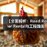 【全面解析：Road Roller Rental与工程路面设备租赁的吨位差异化优势】（图3）
