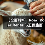 【全面解析：Road Roller Rental与工程路面设备租赁的吨位差异化优势】（图4）