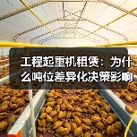 工程起重机租赁：为什么吨位差异化决策影响行业未来（图2）