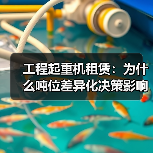 工程起重机租赁：为什么吨位差异化决策影响行业未来（图4）