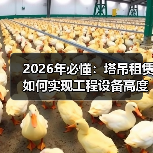 2026年必懂：塔吊租赁如何实现工程设备高度差异化竞争（图3）