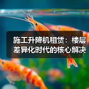 施工升降机租赁:楼层差异化时代的核心解决方案(图2) 施工升降机租赁:楼层差异化时代的核心解决方案(图2)