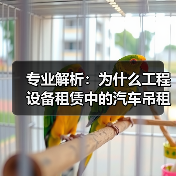 专业解析：为什么工程设备租赁中的汽车吊租赁与臂长差异化成关键？