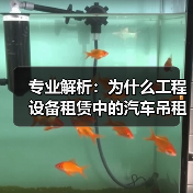 专业解析:为什么工程设备租赁中的汽车吊租赁与臂长差异化成关键?(图2) 专业解析:为什么工程设备租赁中的汽车吊租赁与臂长差异化成关键?(图2)