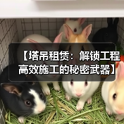 【塔吊租赁：解锁工程高效施工的秘密武器】（图2）