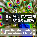 齐心协力，打造高效施工：揭秘剪叉车租赁在高空作业中的差异化优势（图4）