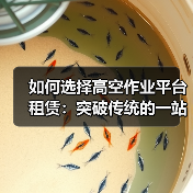 如何选择高空作业平台租赁：突破传统的一站式解决方案（图2）