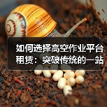 如何选择高空作业平台租赁：突破传统的一站式解决方案（图3）