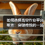 如何选择高空作业平台租赁：突破传统的一站式解决方案（图4）