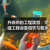 升级你的工程项目：掌握工程设备租赁与载重量差异化策略（图2）