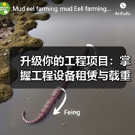 升级你的工程项目：掌握工程设备租赁与载重量差异化策略（图3）