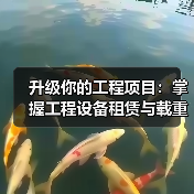 升级你的工程项目：掌握工程设备租赁与载重量差异化策略（图4）