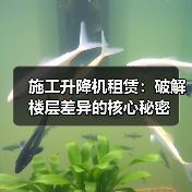 施工升降机租赁：破解楼层差异的核心秘密