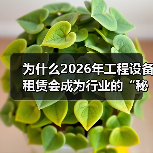 为什么2026年工程设备租赁会成为行业的“秘密武器”？在建筑、仓储、制造等行业，设备租赁已不再是简单的临时需求，而是一场深藏的变革。尤其是托盘车租赁（Palle（图2）
