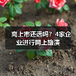 离上市还远吗？4家企业进行网上路演（图4）