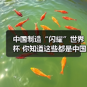 中国制造“闪耀”世界杯 你知道这些都是中国造吗？（图3）