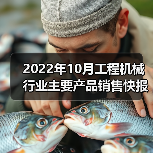 2022年10月工程机械行业主要产品销售快报二（图3）