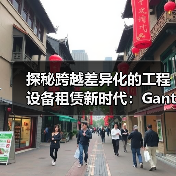 探秘跨越差异化的工程设备租赁新时代：Gantry Crane与龙门吊的完美结合（图3）