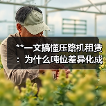 **一文搞懂压路机租赁：为什么吨位差异化成为行业新宠？**（图3）