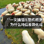 **一文搞懂压路机租赁：为什么吨位差异化成为行业新宠？**（图2）