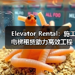 Elevator Rental：施工电梯租赁助力高效工程施工（图2）