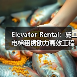 Elevator Rental：施工电梯租赁助力高效工程施工（图4）