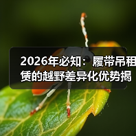 2026年必知：履带吊租赁的越野差异化优势揭秘