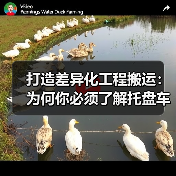 打造差异化工程搬运：为何你必须了解托盘车租赁的秘密