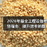 2026年最全工程设备租赁指南：提升效率的载重量差异化策略（图3）