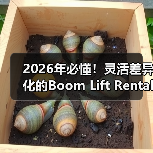 2026年必懂！灵活差异化的Boom Lift Rental曲臂车租赁指南