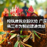 构筑建筑业新优势 广深佛三市为智能建造贡献广东力量