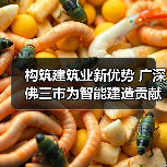 构筑建筑业新优势 广深佛三市为智能建造贡献广东力量（图3）