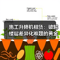 施工升降机租赁:破解楼层差异化难题的黄金钥匙(图3) 施工升降机租赁:破解楼层差异化难题的黄金钥匙(图3)