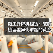 施工升降机租赁:破解楼层差异化难题的黄金钥匙(图4) 施工升降机租赁:破解楼层差异化难题的黄金钥匙(图4)