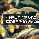 4个理由告诉你为何工程设备租赁中的Jib Crane Rental悬臂吊租赁成为行业“新宠”（图3）