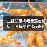 工程起重机租赁深度解析：吨位差异化带来的行业变革（图2）