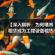 【深入解析:为何塔吊租赁成为工程设备租赁领域的高度差异化优势】(图3) 【深入解析:为何塔吊租赁成为工程设备租赁领域的高度差异化优势】(图3)