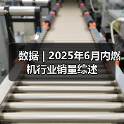 数据 | 2025年6月内燃机行业销量综述（图2）