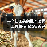 一个包工头的账本泄露：工程机械市场复苏背后的真相