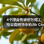 4个理由告诉你为何工程设备租赁中的Jib Crane Rental悬臂吊租赁成为行业“新宠”（图1）