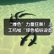 “绿色”力量狂飙！上工机械“绿色植桩设备”护航超级工程！（图3）