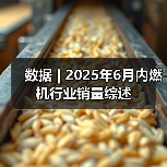 数据 | 2025年6月内燃机行业销量综述（图4）