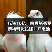 斥资10亿！跨界新秀罗博特科拟投建HJT电池项目