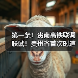 第一条！贵南高铁联调联试！贵州省首次时速350公里